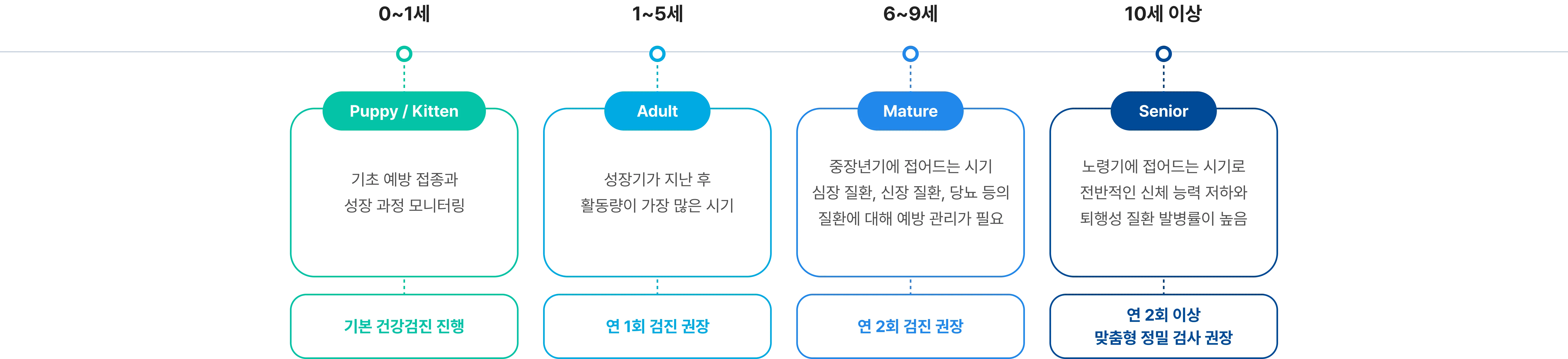 Timeline